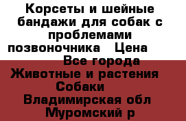 Корсеты и шейные бандажи для собак с проблемами позвоночника › Цена ­ 2 500 - Все города Животные и растения » Собаки   . Владимирская обл.,Муромский р-н